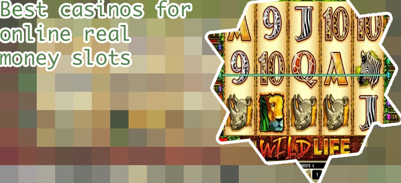 Wild life slots